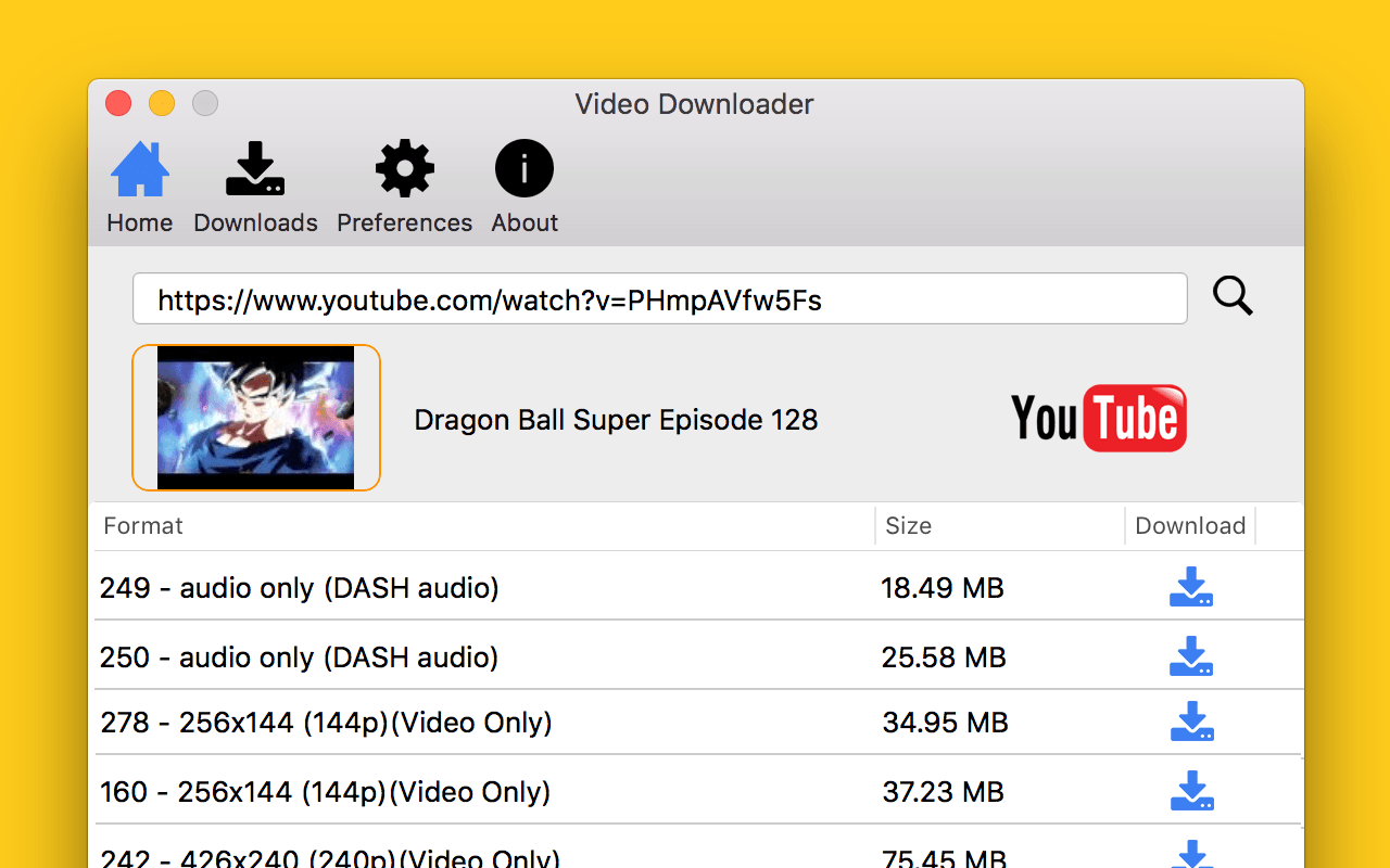 youtube video downloader .